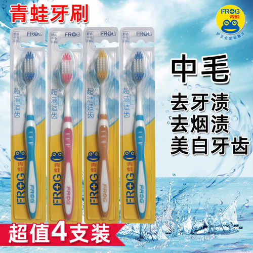 FROG/青蛙中毛牙刷去牙渍成人4支