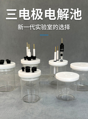 C001电解池密封三电极五孔电化学电解槽C002二电极体系普通电解池