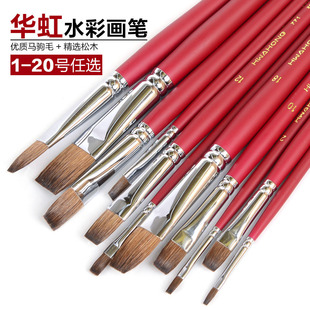马鬃毛 水粉笔 平头 771F 韩国原产华虹hwahong平头水彩画笔