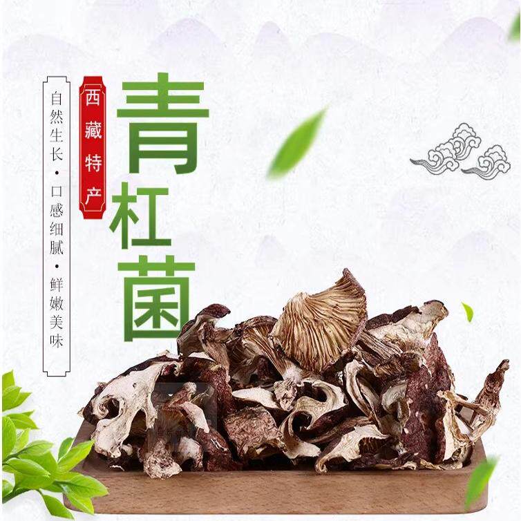 2024林芝山货松茸青冈菌不掺松茸/冻干松茸