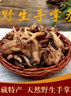 西藏野生手掌参佛手参西藏林芝100克鲁朗石锅手参选整个冬季滋补