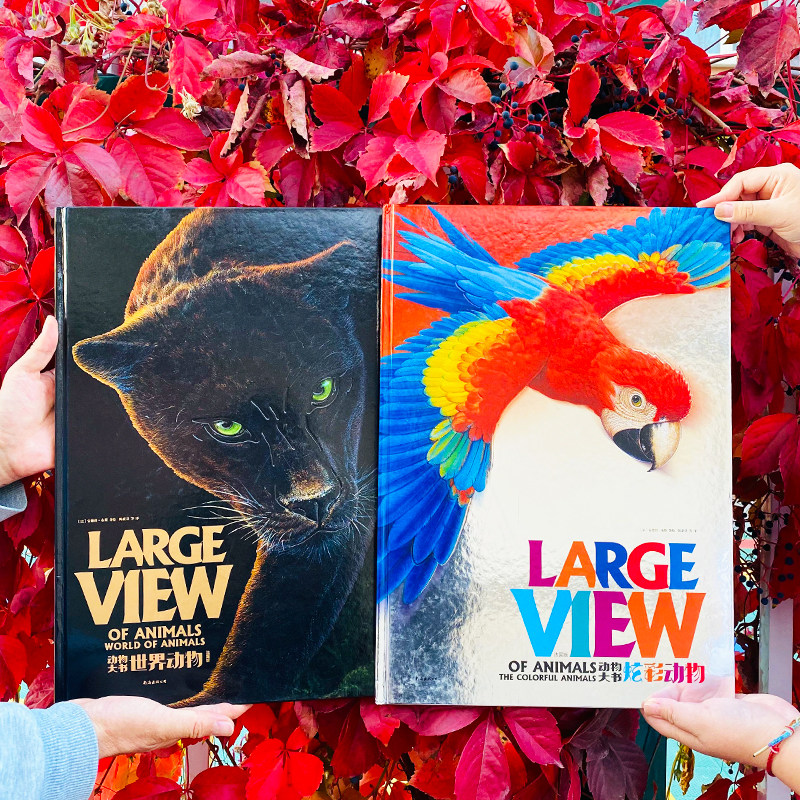 幼儿启蒙益智0-3岁早教宝宝撕撕书法国早教幼儿园绘本炫彩动物动物绘本动物大书撕不烂儿童立体地板书儿童社交力培养绘本