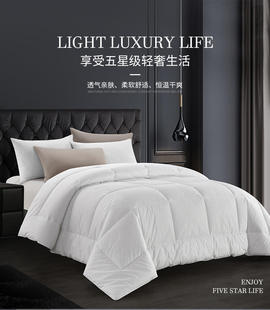 宾馆酒店专用加厚冬被春秋被旅馆白色被单人被子被芯羽丝绒四季被
