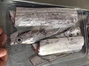 东山岛海鲜海钓黑眼带鱼 冷冻水产 东海钓带一斤装盒装 去嘴去尾