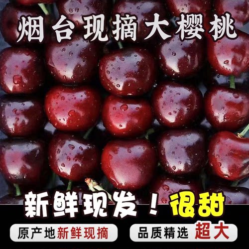 烟台栖霞当天采摘新鲜大樱桃