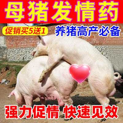兽用母猪发情配种药排卵药发情粉