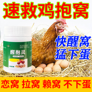 速效醒抱灵母鸡醒抱药鸡鸭鹅趴窝恋窝药不下蛋不让母鸡孵化抱窝醒