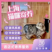 家庭式 上海宠物猫咪寄养酒店 24小时可视频 环境一户一间不混养