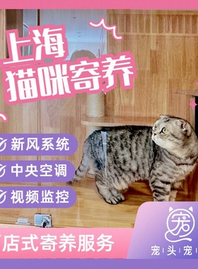 酒店家庭式一间24小时猫咪寄养