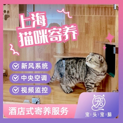 酒店家庭式一间24小时猫咪寄养