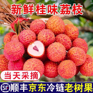 广西灵山桂味荔枝特产当季新鲜孕妇纯甜水果产地现摘顺丰冷链直发