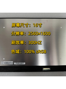 蛟龙16proNE160QDM-NZL 2.5k 300hz神舟 机械革命耀世16极光X屏幕