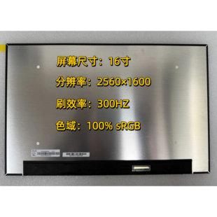 蛟龙16proNE160QDM-NZL 2.5k 300hz神舟 机械革命耀世16极光X屏幕