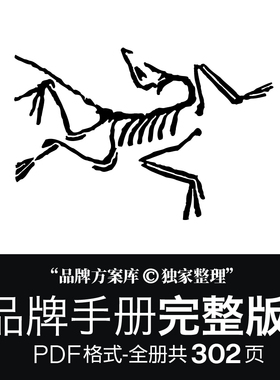 始祖鸟品牌档案原创整理 品牌方案库独家出品手册PDF服饰设计素材