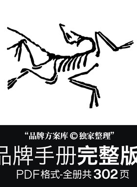 始祖鸟品牌档案原创整理 品牌方案库独家出品手册PDF服饰设计素材