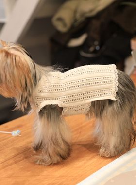 宠物狗狗衣服春秋棉柔透气泰迪小型犬约克夏比熊公主风打底衫保暖