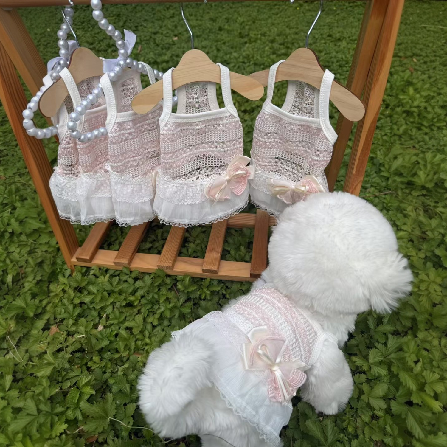 宠物狗衣服小型犬夏天薄款蕾丝吊带泰迪中型犬猫咪衣服公主风