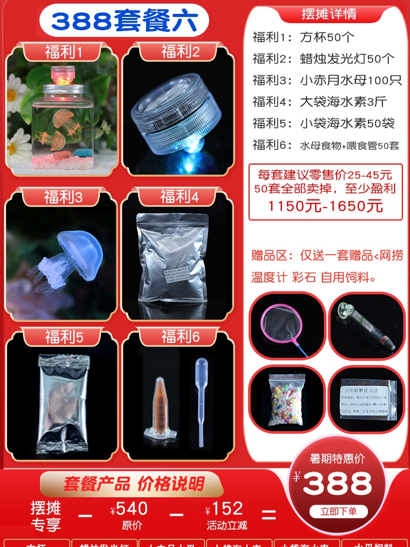 海月水母宝宝无毒活物新潮宠物摆摊专业大型海洋馆桌面专用生态缸