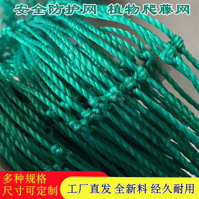爬藤尼龙安全网防坠防鸟球场围网