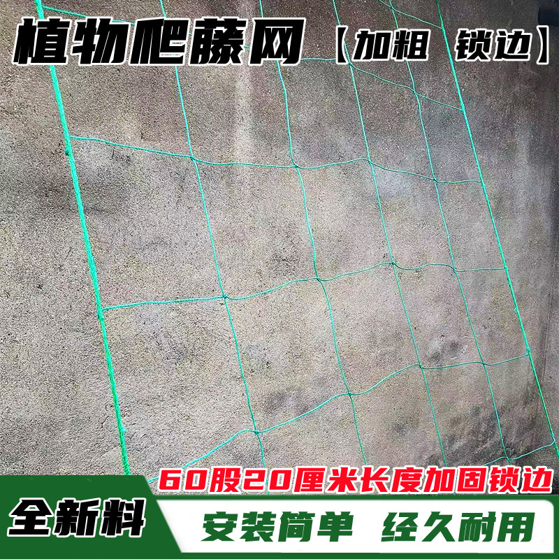 爬藤网攀爬网植物爬藤网