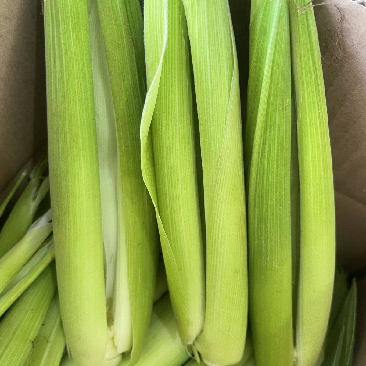 福建新鲜玉米笋叶宠物食品