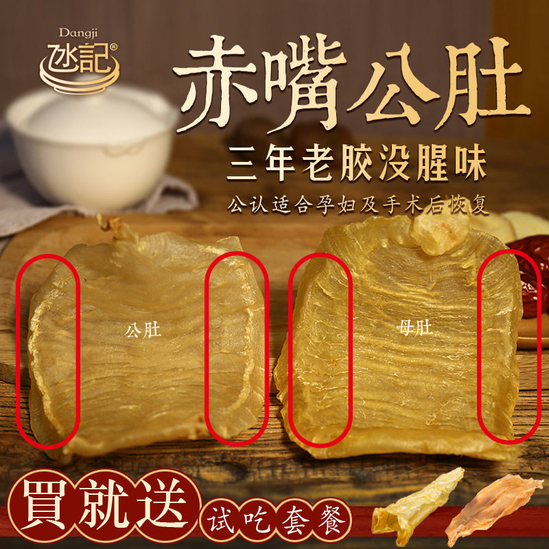 澳門氹記 赤嘴鳘鱼胶公肚 花胶干货正品 赤嘴鱼胶公肚75-80克3只