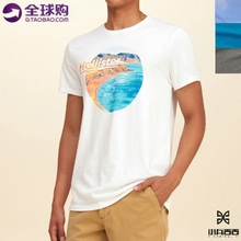Hollister海鸥 男士 夏季 圆领短袖 T恤 美国 潮图案印花时尚 AF副牌