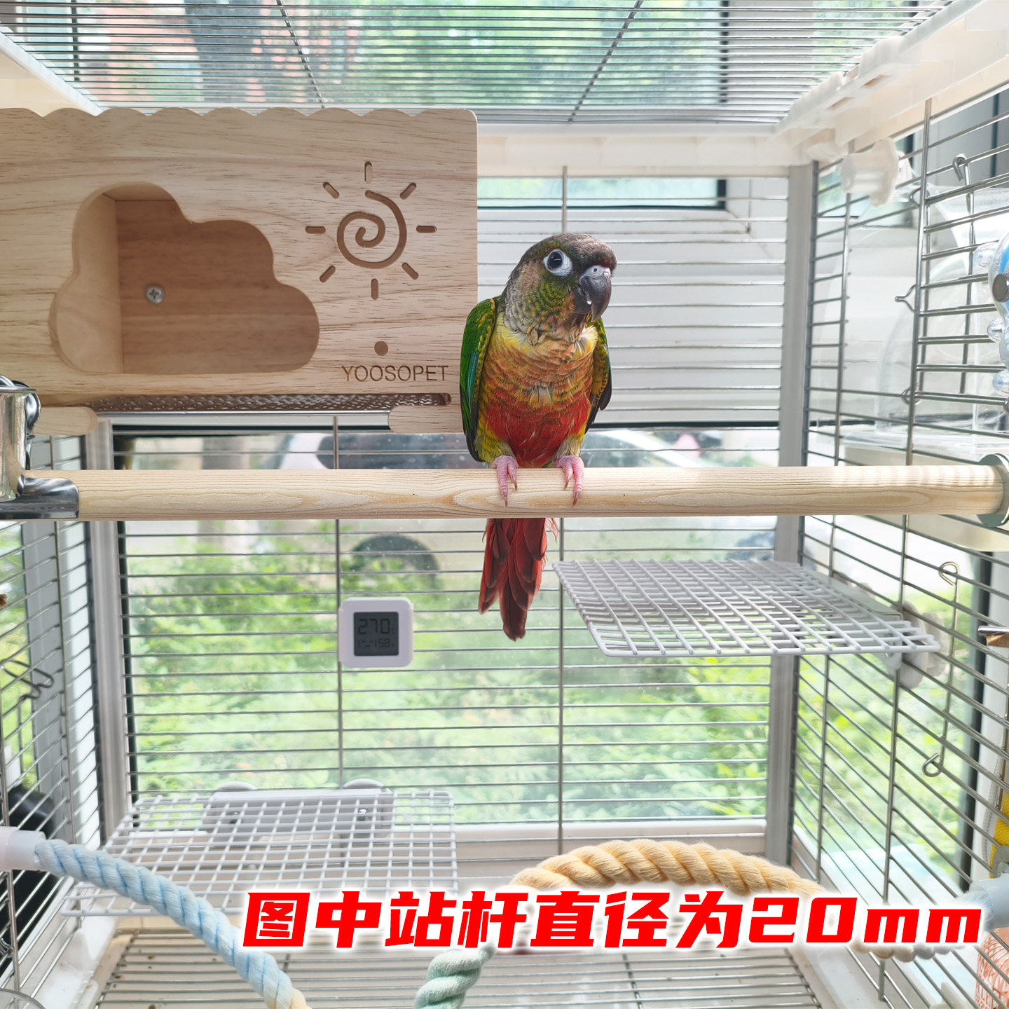 鹦鹉实木站杆达洋鸟笼配套图片