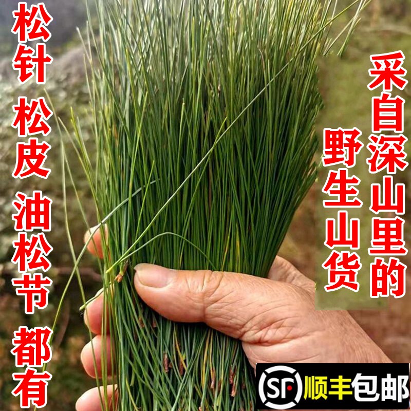 顺丰包邮南岭野生松树皮松针油松节松树根新鲜现采天然干货中药材