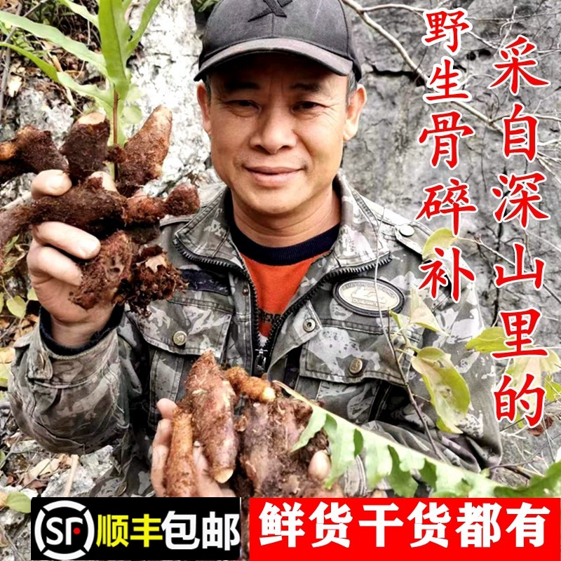 顺丰包邮南岭野生骨碎补苗新鲜毛姜爬岩姜石姜养生泡酒干货中药材