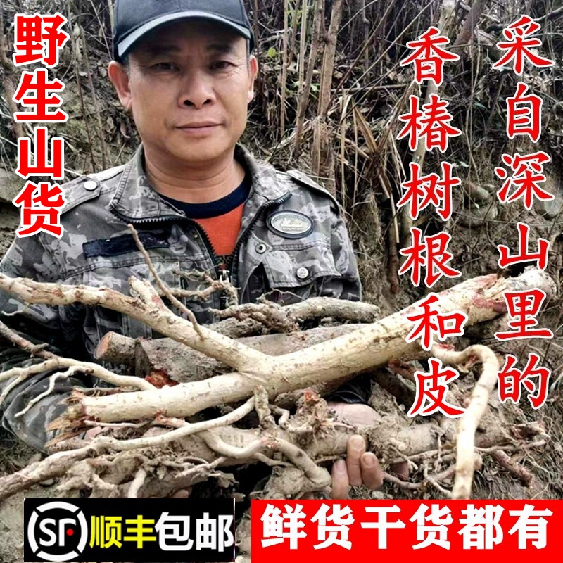 顺丰包邮南岭野生香椿树皮新鲜椿树根干货二层皮香椿籽无硫中药材