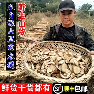 顺丰包邮南岭野生五叶木通七叶莲预知子根九月黄牛卵坨干货中药材