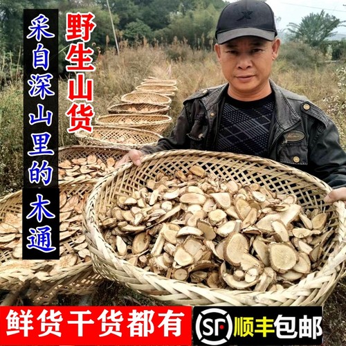 南岭野生五叶木通九月黄顺丰包邮