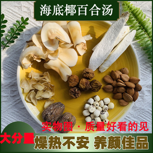 海底椰百合莲子汤料广东煲汤材料清补凉炖鸡汤包四季滋润去燥热