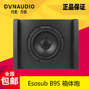 丹拿 B9S系列重低音炮功放原装 汽车音响Esosub DYNAUDIO 喇叭