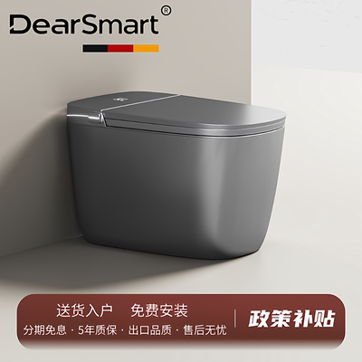 德国DearSmart枪灰色智能马桶