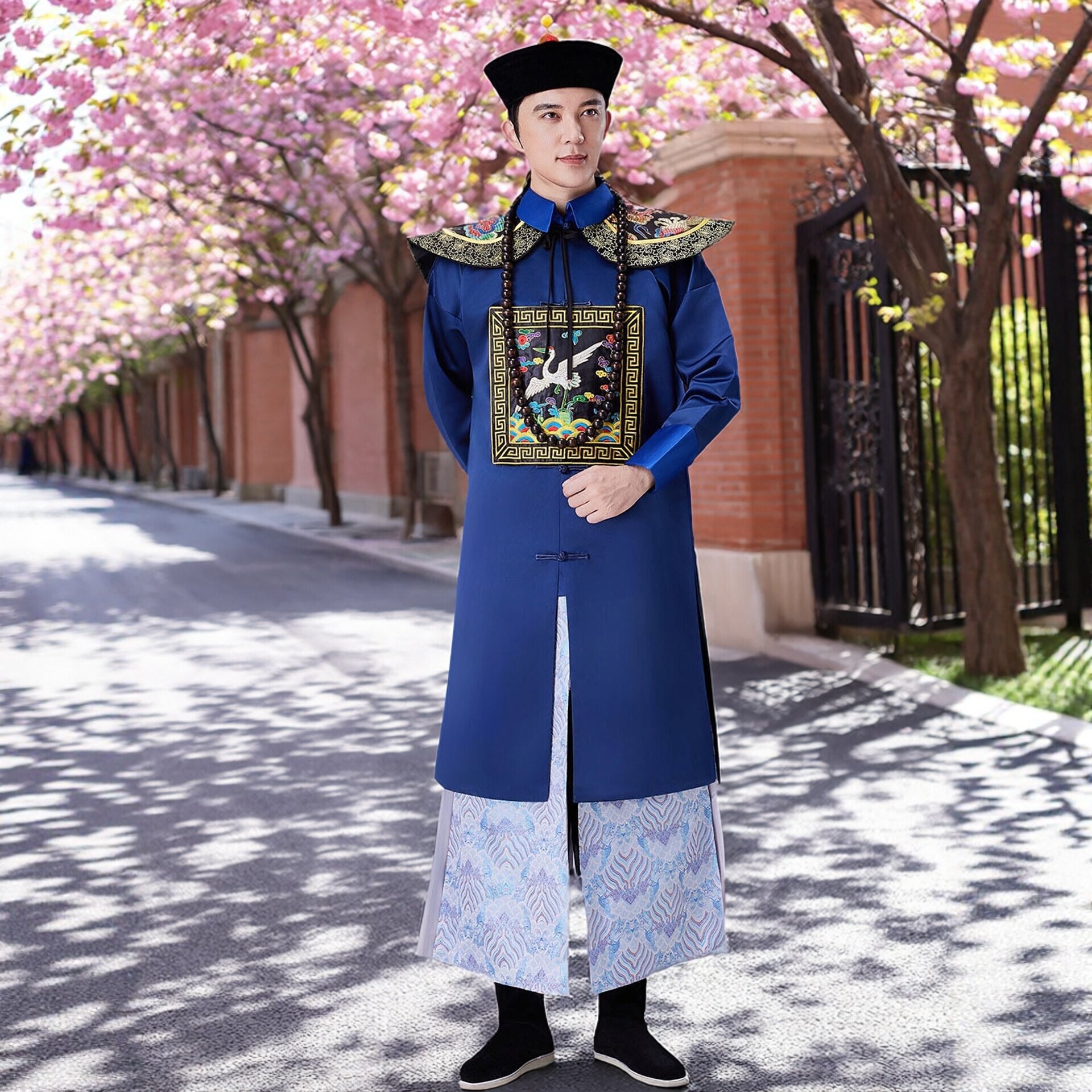 清朝古装官服男一品全套大臣亲王王爷服侍卫服影视服装古代演出服