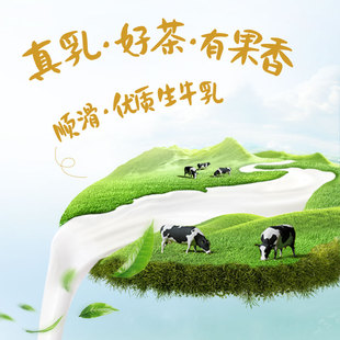 蜜瓜乌龙茶口味220g 真果粒伯爵红茶口味 天猫U先 2包