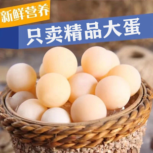 农家新鲜甲鱼蛋120枚食用原生水鱼土鳖团鱼蛋自养王八蛋宝宝辅食