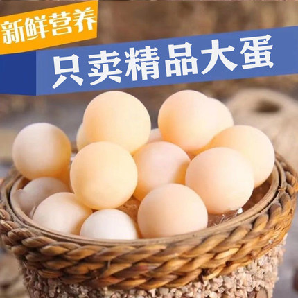 农家新鲜甲鱼蛋120枚食用原生水鱼土鳖团鱼蛋自养王八蛋宝宝辅食