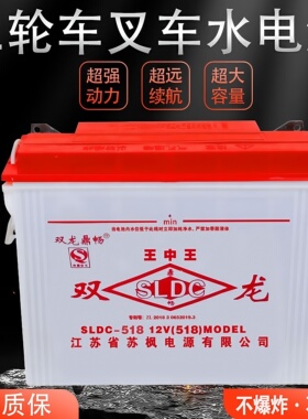 双龙水电池铅酸电池电三轮车四轮车工程车叉车12v水电瓶228型70斤