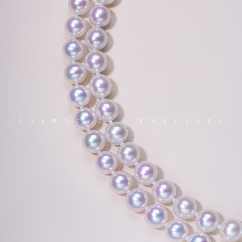 海珍珠素材模板 海珍珠图片下载 小麦优选