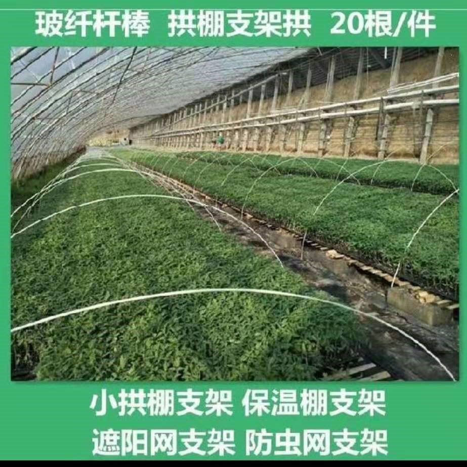 菜棚保温棚花棚拱玻纤杆农用小拱棚支架拱杆骨架玻璃钢弹力棒农用