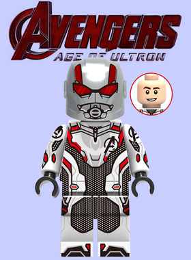 复仇者联盟4人仔76124量子服宇宙战衣儿童拼装积木蚁人玩具1208