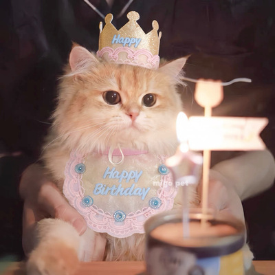 宠物帽子狗狗猫咪生日派对装饰装扮拍照道具围脖帽子围兜口水巾