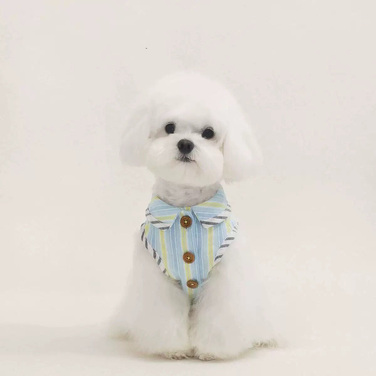 小型犬复古牛仔百搭POLO衫