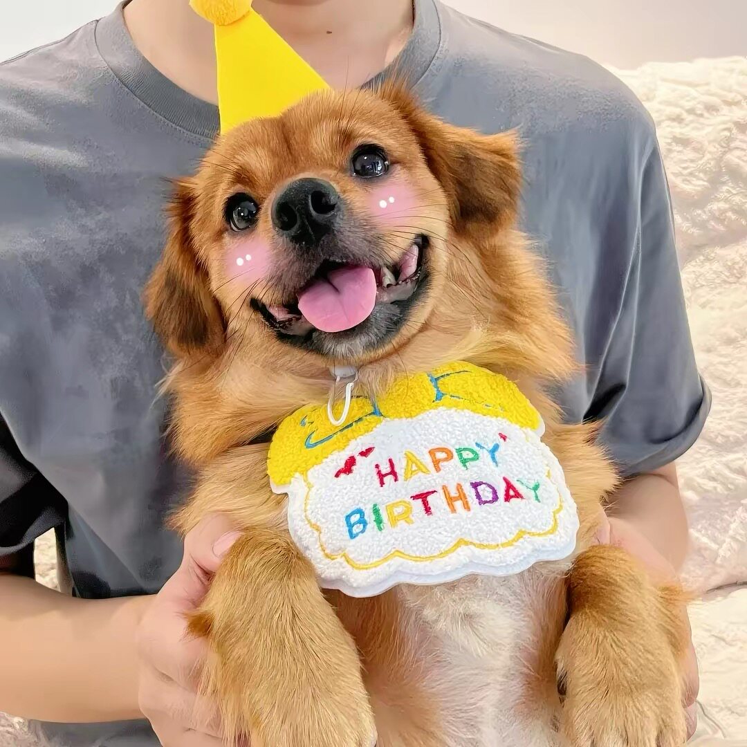 宠物生日装扮猫咪生日装扮小中大围巾/口水巾