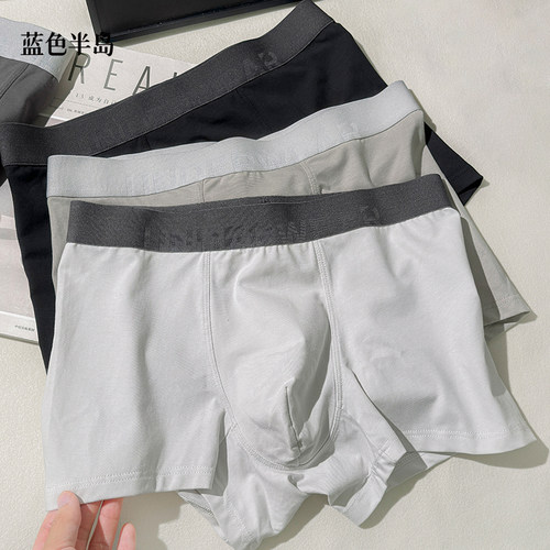 蓝色半岛内裤男款纯棉平角大码