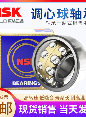 NSK进口调心球轴承1200 1201 1202 1203 1204 1205 1206ATN K