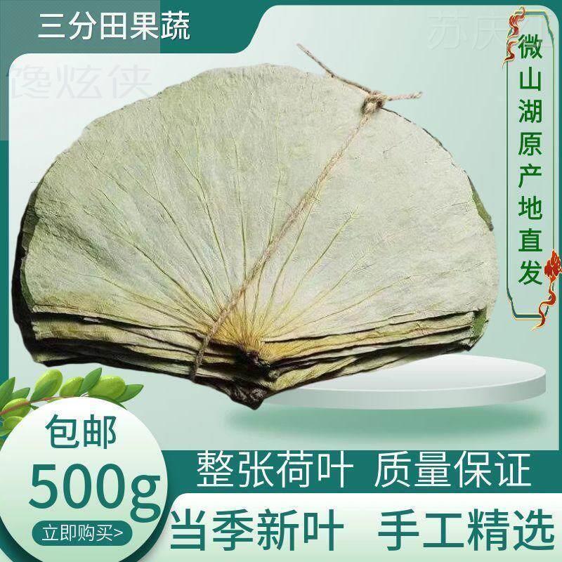 微山荷叶整张荷叶茶荷叶片干荷叶糯米鸡荷叶鸡荷叶饭荷叶整张